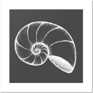 Spiral Nautilus Posters and Art